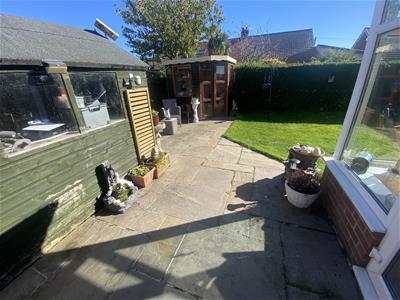 Picture 15